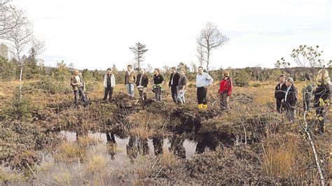 Moor Renaturierung Im Kirchseefilz Zur Ck Zur Natur