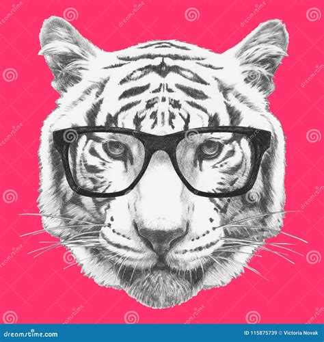 Portrait Of Tiger With Glasses Hand Drawn Illustration Stock Illustration Illustration Of