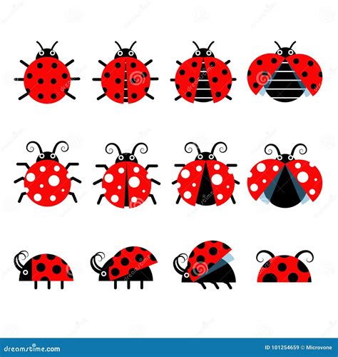 Iconos Lindos Del Vector De La Mariquita Iconos Del Insecto Del