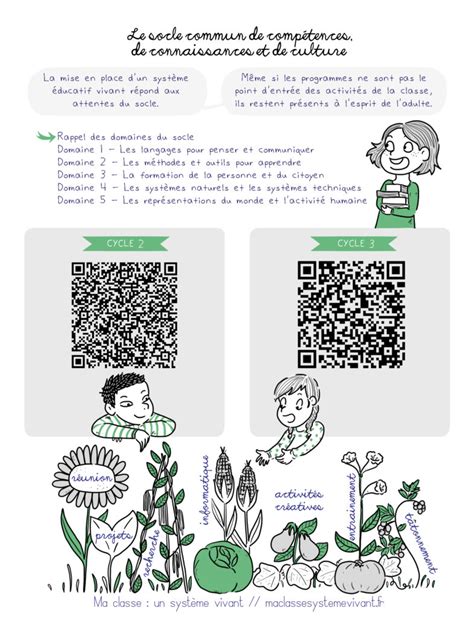 Le Socle Commun De Comp Tences De Connaissance Et De Culture
