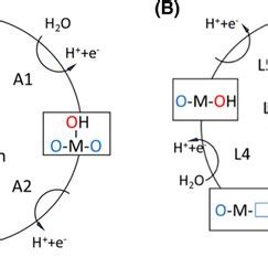 Proposed OER Mechanisms In Acidic Electrolytes A AEM Mechanism B