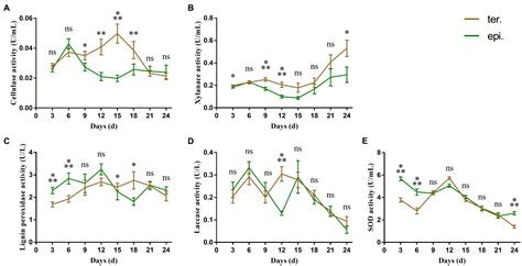 Frontiers Extracellular Enzyme Activities And Carbon Nitrogen