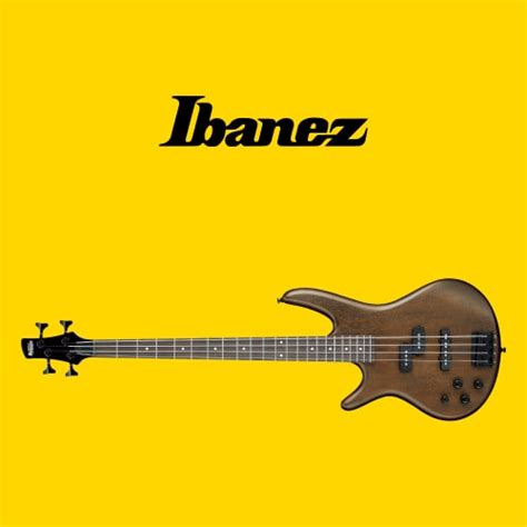 Ibanez Left-Handed Bass Guitars in 2024 │Leftyhandy