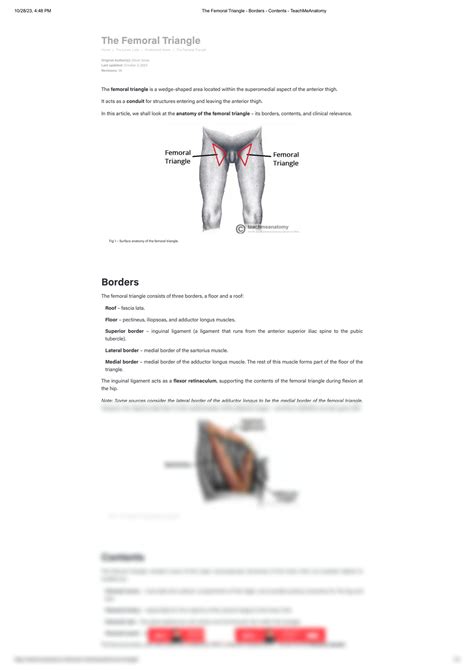 Solution The Femoral Triangle Borders Contents Teachmeanatomy Studypool