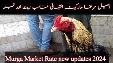 Aseel Murga Market Mianwali Murga Mandi New Update 2024