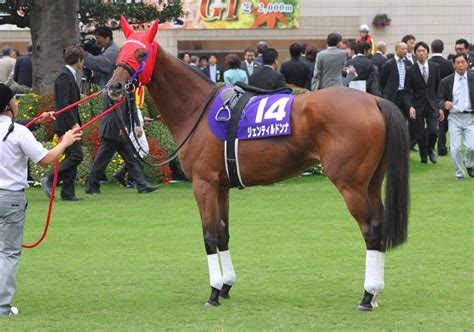 【ウィリアムヒル】現役牝馬最強のジェンティルドンナがgⅠ5勝目か？6歳牡馬のエイシンフラッシュの連覇か？天皇賞（秋） ブックメーカー情報局