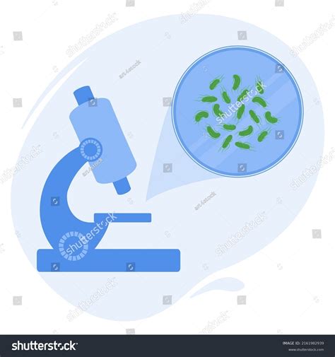 120 Lactobacillus Under Microscope Images, Stock Photos & Vectors ...