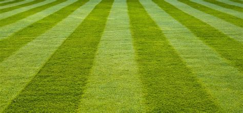 9 Lawn Striping Patterns You Should Try Out