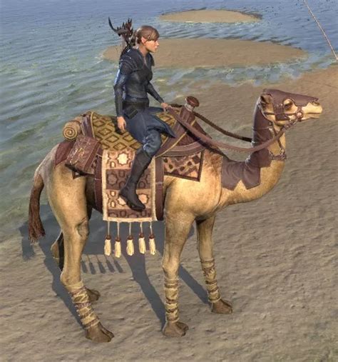 Eso Fashion Hammerfell Camel Elder Scrolls Online