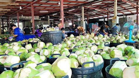 Coconut Harvesting And Cutting Product Completion Process At The