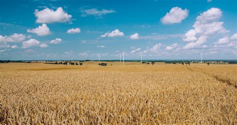 Free Stock Photo Of Agriculture Countryside Cropland