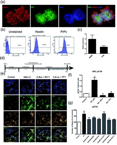 Amyloid Binding And Beyond A New Approach For Alzheimer S Disease Drug