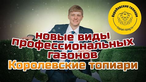 Новый вид нашего профессионального газона эко - YouTube