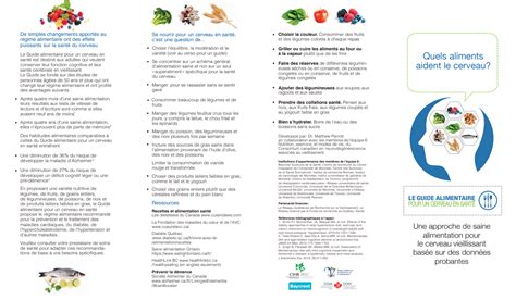 Guide Alimentaire Pour Un Cerveau En Sant Lab C Daire Dun Cerveau