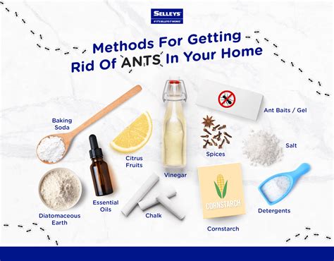 how to get rid ants 9