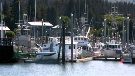 Guided Cruise On Kachemak Bay And Tour Of Historic Seldovia Central