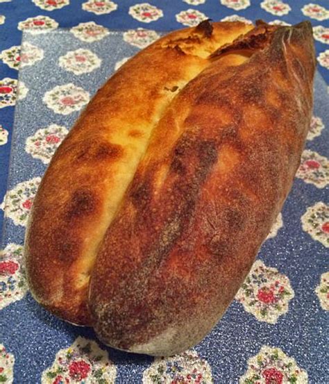 Pane Tipo Di Altamura March 31 2016 The Fresh Loaf