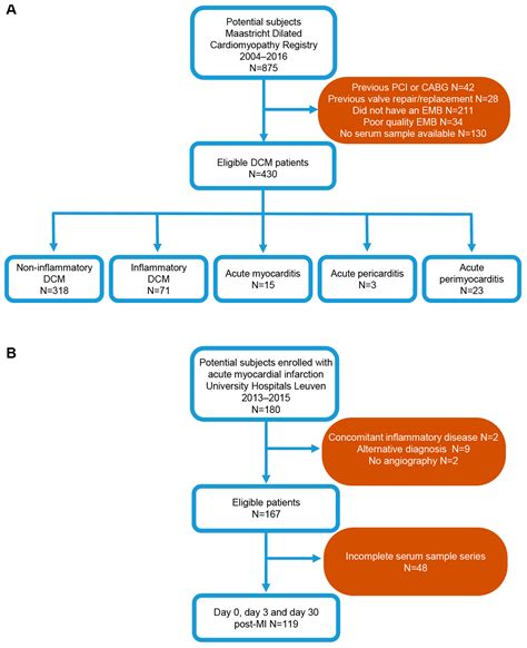 Biomedicines Free Full Text Inflammation And Syndecan Shedding