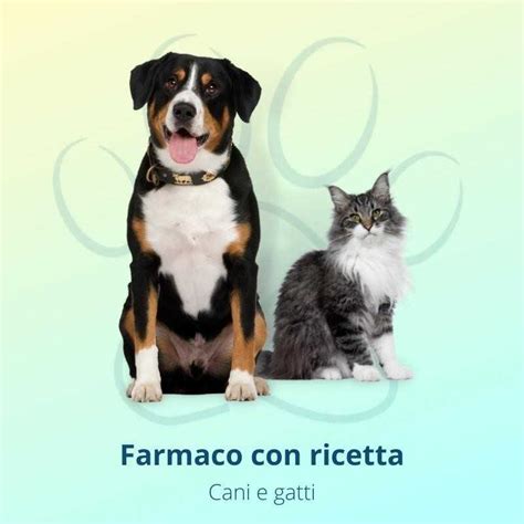 Metacam Ml Ml Sospensione Orale Cani Flacone Ml Farmapets