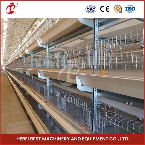 Bestchickencage H Frame Broiler Cages China Prefabricated Poultry House