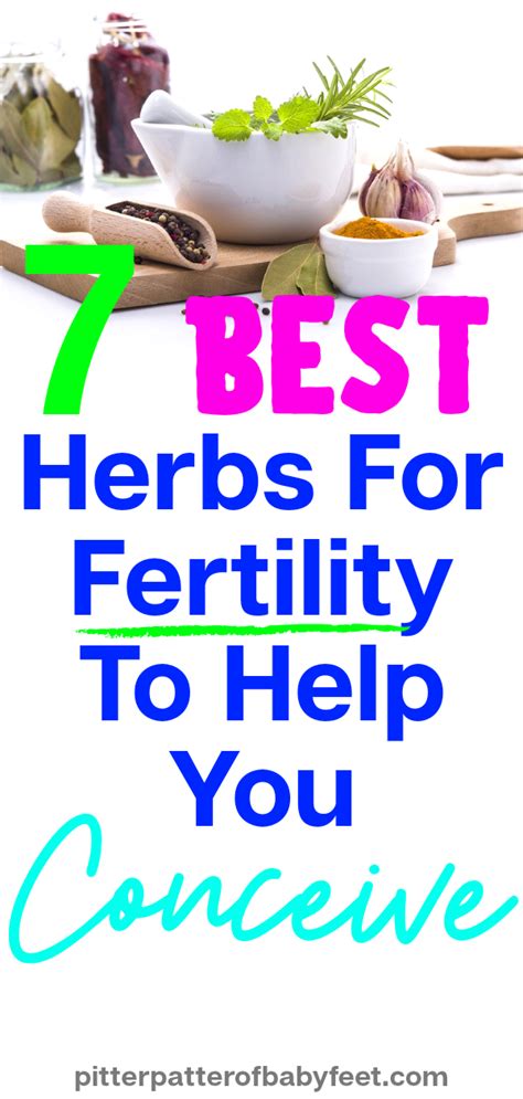 7 Herbal Supplements To Boost Fertility In Women Herbs For