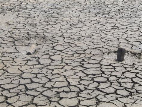 Viral Kemunculan Gunung Baru Bledug Kramesan Di Grobogan Usai Gempa M