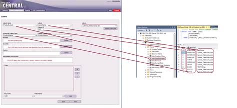 Configuring The External Database Feature Teklynx Central