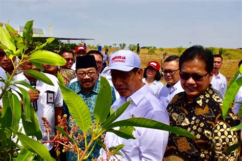 DPR Akui PDB Pertanian Triwulan II 2018 Tumbuh Tertinggi 9 93 Persen