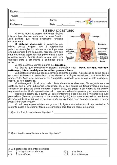 Atividades Sobre Sistema Digestório 5 Ano Com Gabarito - Atividades Sistema Digestorio 5 Ano - HerbsEdu