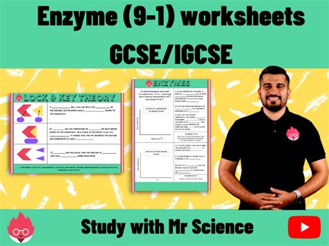 Enzyme Biology Igcse Gcse Pdf Teaching Resources