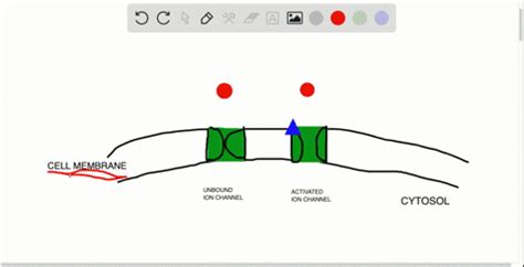 SOLVED: Because they are embedded within the membrane, ion channels are examples of . a ...