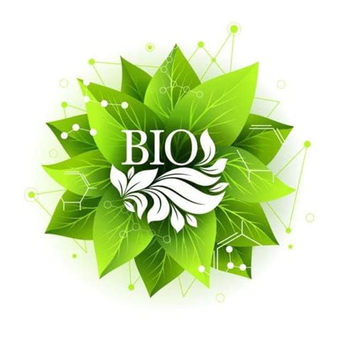 Bio Label Badge With Green Leaves Vector Eps Uidownload