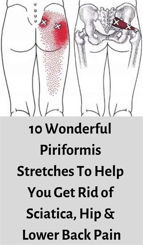 Piriformis Stretches To Help You Get Rid Of Sciatica Hip And Lower