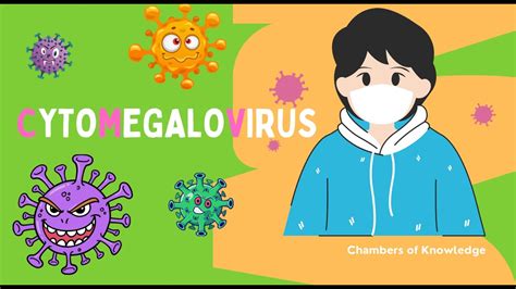 Cytomegalovirus Explained Risks Symptoms And Prevention Tips Youtube