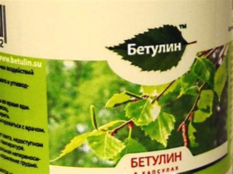 Бетулин - полезные свойства березы - Здоровы с нами