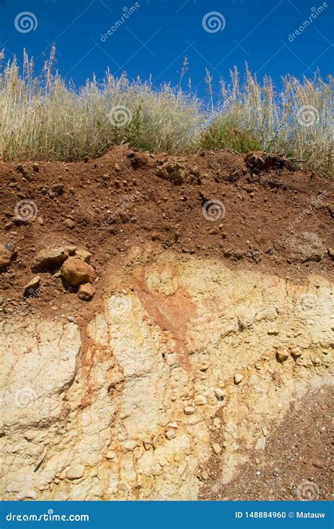 Soil Profile Under Grassland Stock Photo Cartoondealer