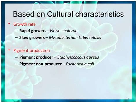 Classification Of Bacteriapptx