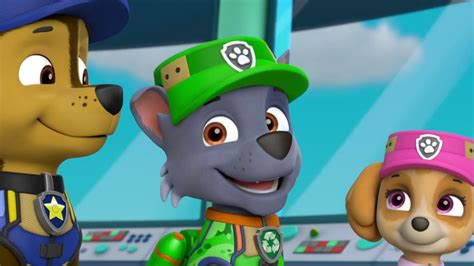 Rocky Gallery Ultimate Rescue Pups Save A Swamp Monster Paw Patrol