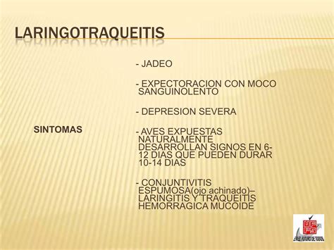 Laringotraqueitis Infecciosa Aviar Ppt