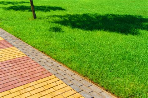 Jalan Setapak Yang Terbuat Dari Lempengan Paving Dan Rumput Hijau