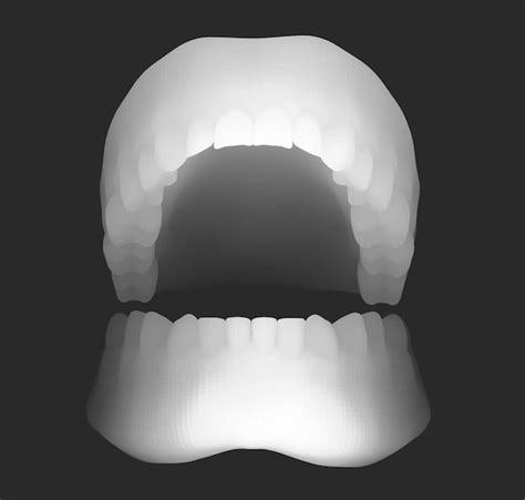 Premium Vector Human Jaw 3d Vector Layout Medicine And Health