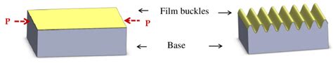 Schematic Of The Wrinkling Process Wrinkles Are Formed Via Periodic