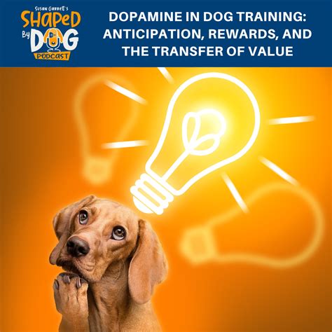 Do Dogs Release Dopamine