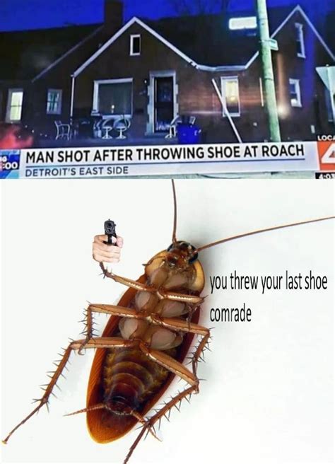 The best Roach memes :) Memedroid