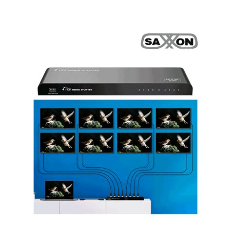 Saxxon Lkv Hdr V Divisor Hdmi De Entrada Y Salidas Ultra