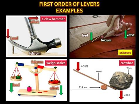 Ppt Three Types Of Lever Powerpoint Presentation Id 2451217