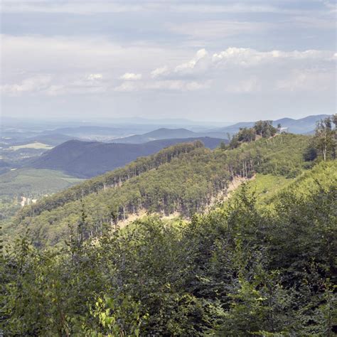 matra wine region hungary winetourism winetourismcom