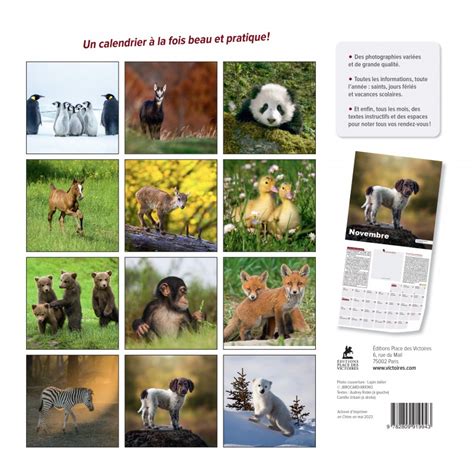 Calendrier Animaux De La Ferme 2024 COLLECTIF 9782816021561 Books