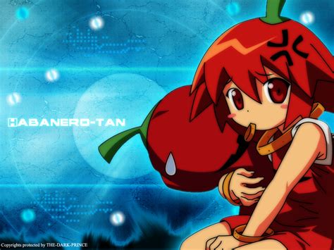 Net Runner Wallpaper Habanero Tan Minitokyo