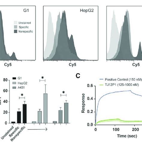 Commercial Anti Gpc3 Antibody Confirms Expression Of Gpc3 Flow Download Scientific Diagram